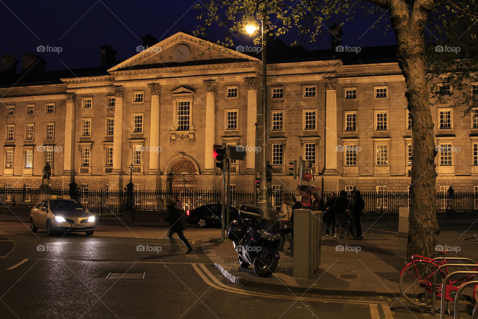 The University of Ireland