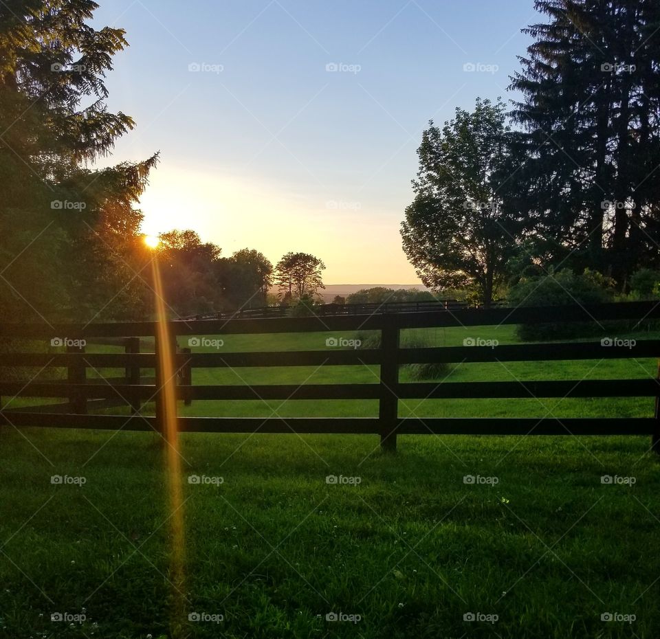 Landscape, Grass, Tree, Fence, Dawn