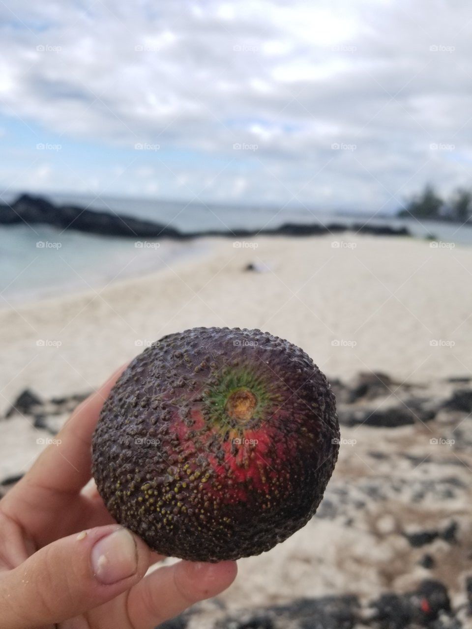 Nature, Summer, Tropical, Beach, Sand