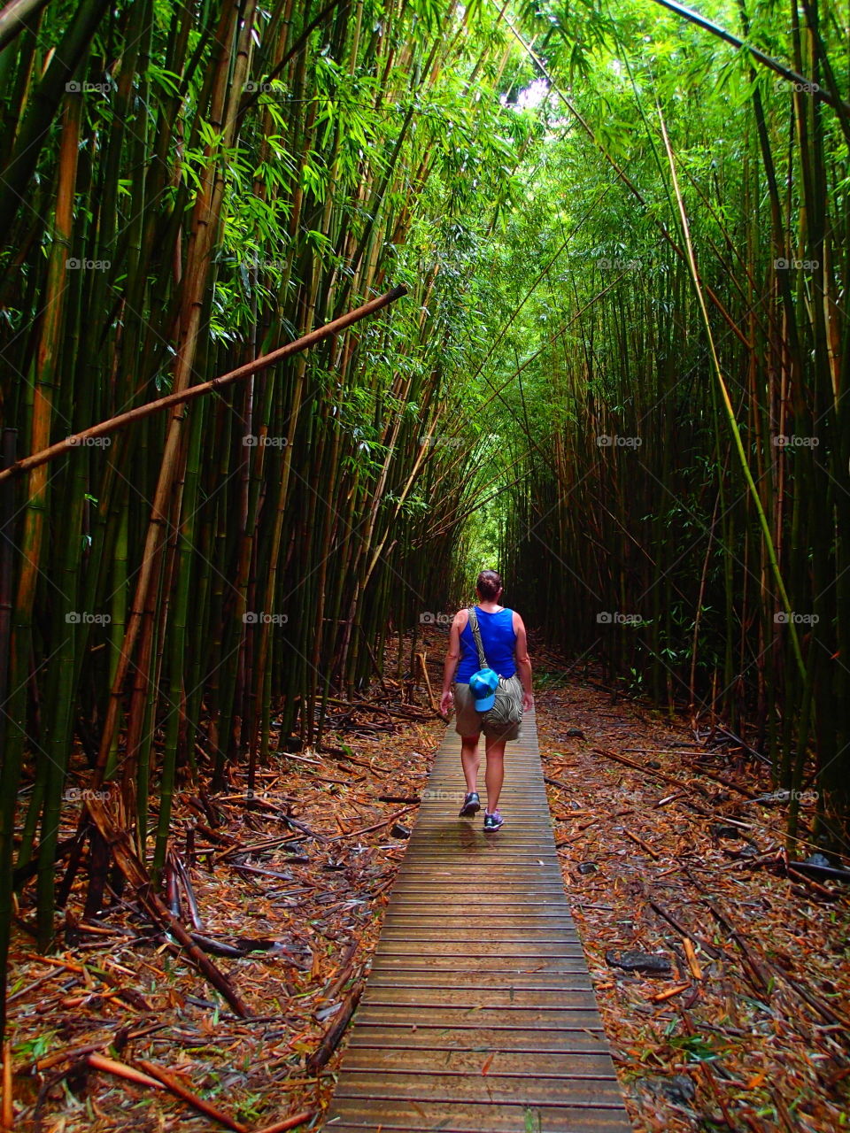 Hiking in Hawaiian bamboo forest 