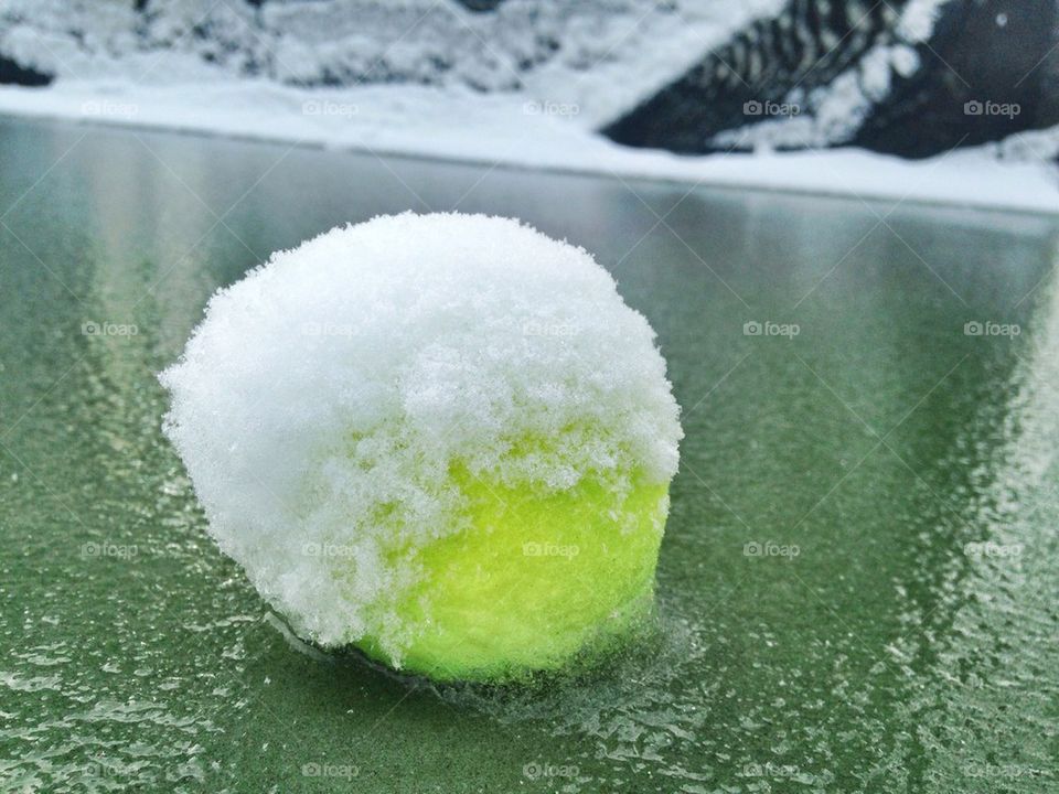 Frozen tennis ball 