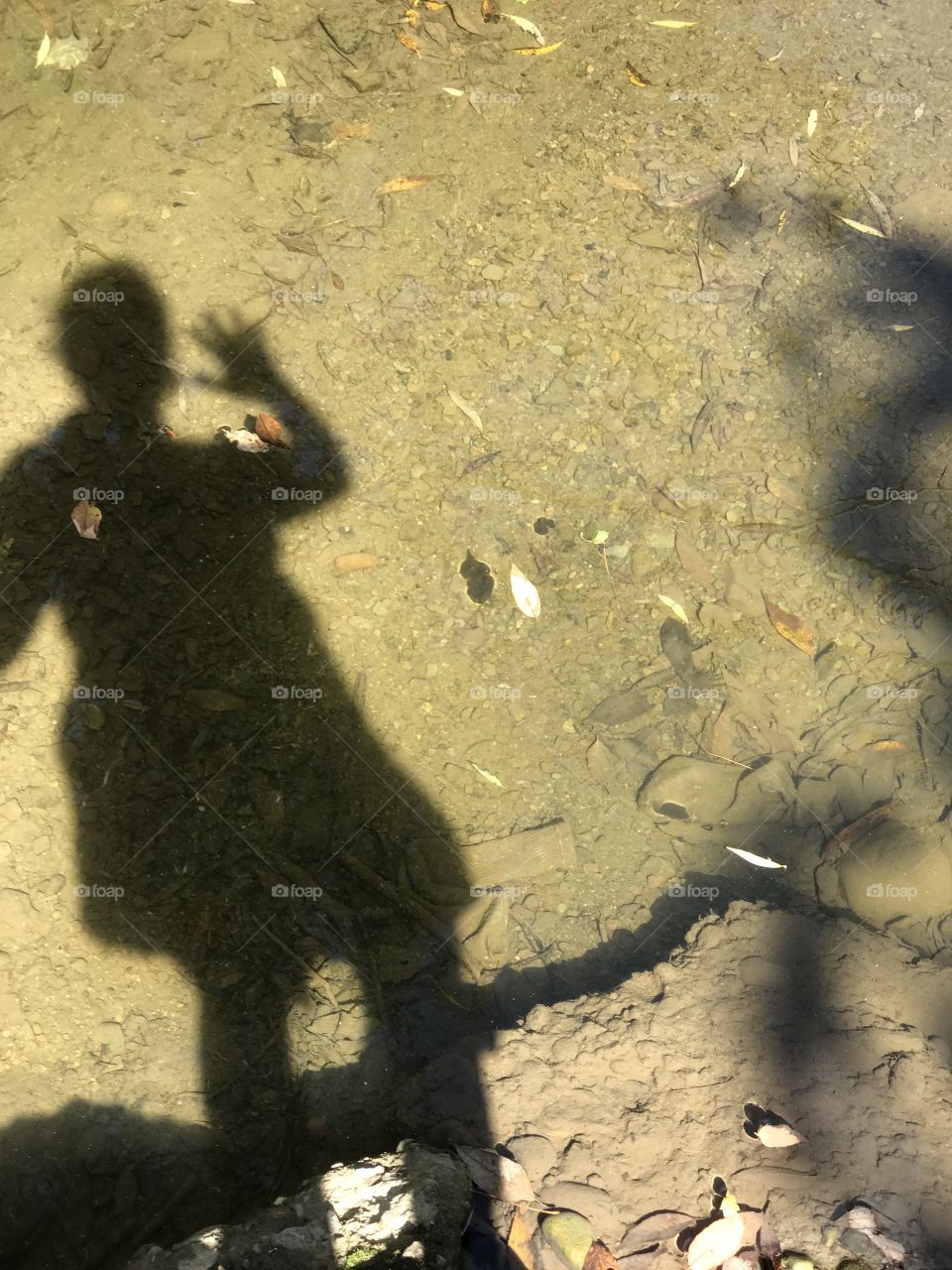 Autumn rain reflections 