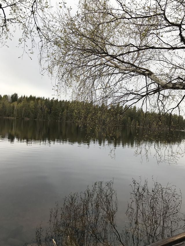 Water nature