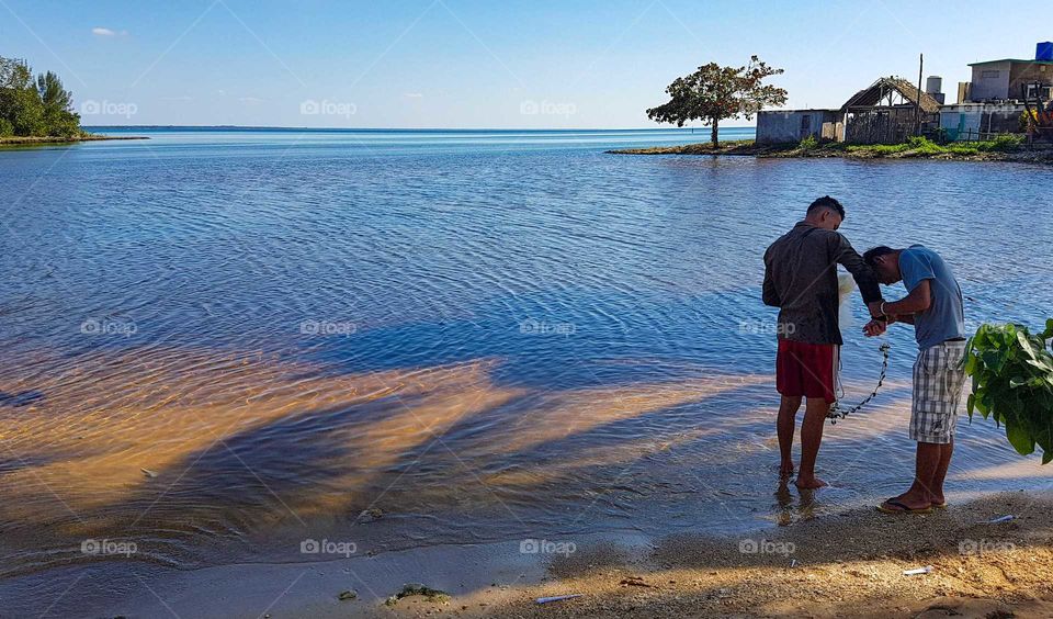 Skuggor från palmer i havet