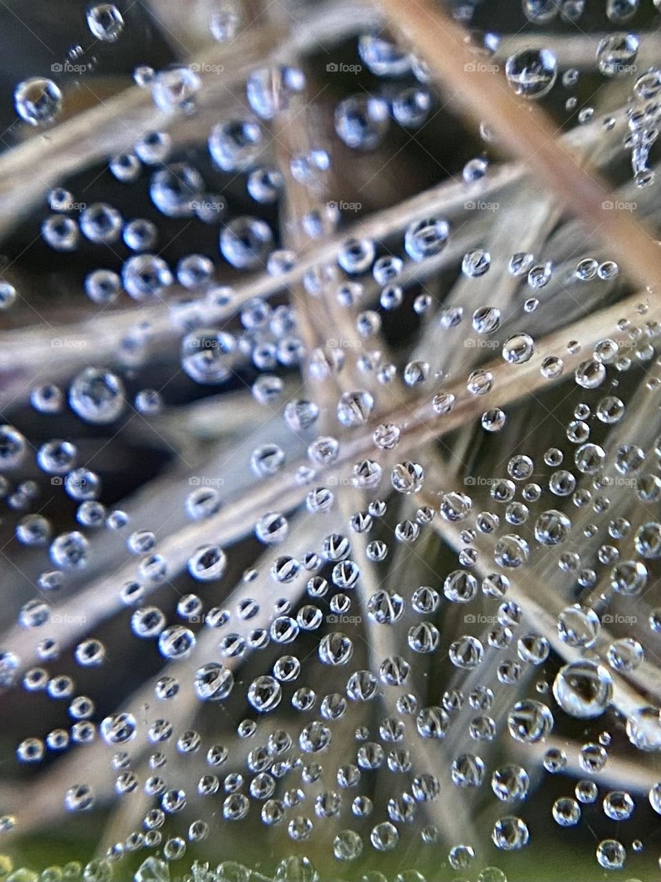 Drops