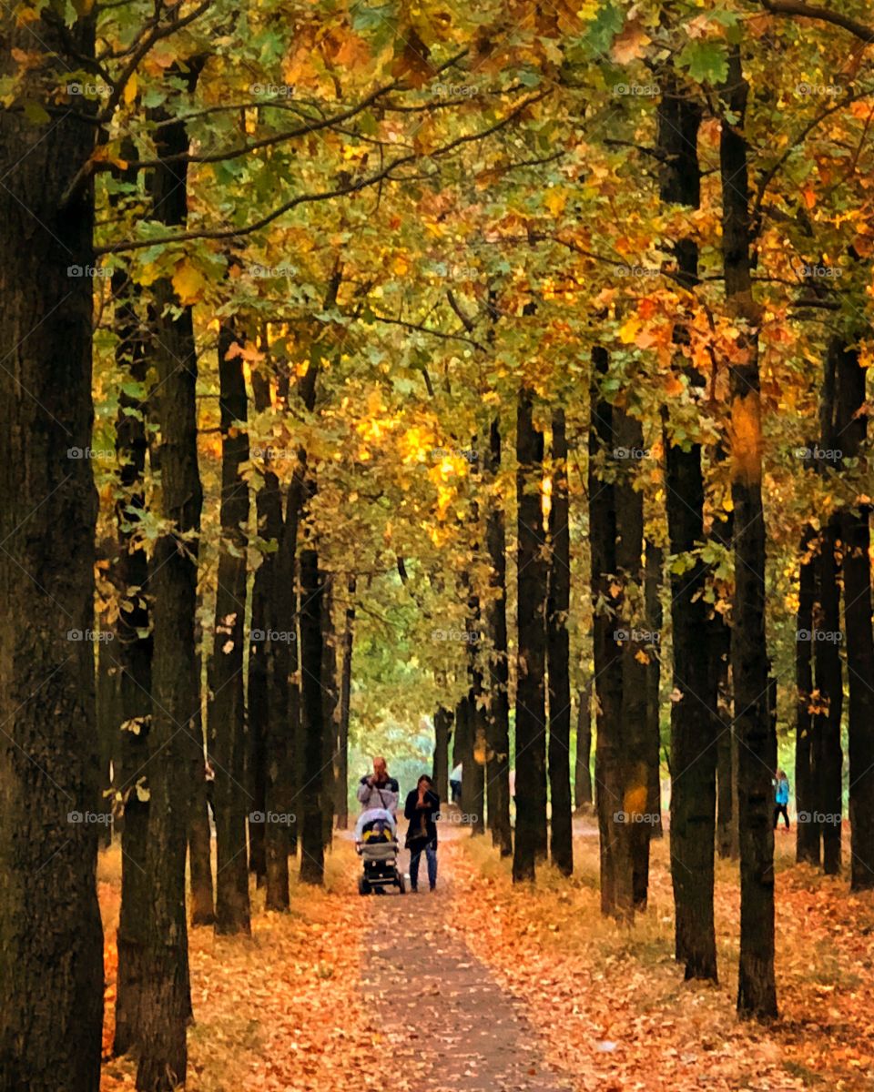 Осенний парк, прогулка