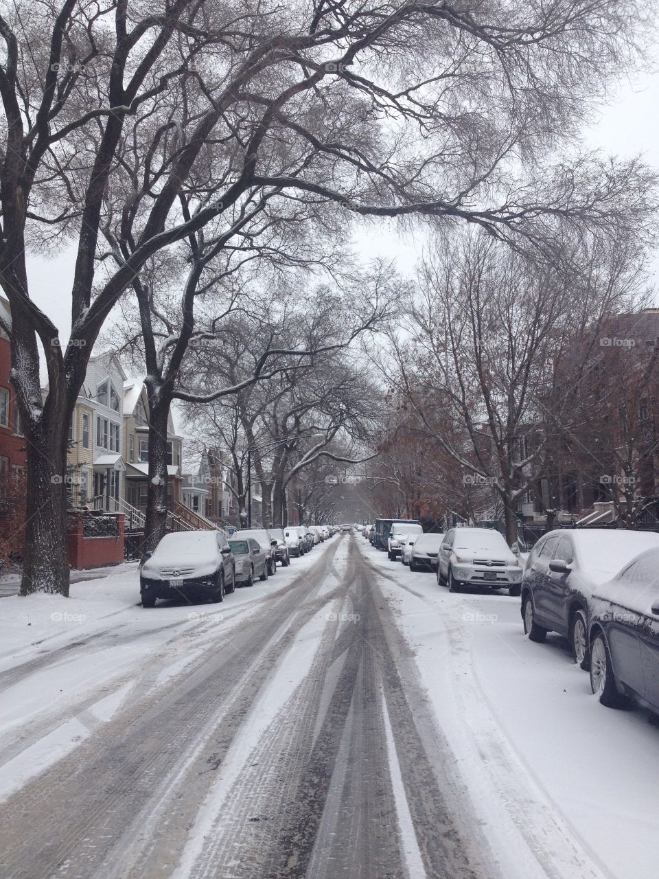 Snow in Chicago