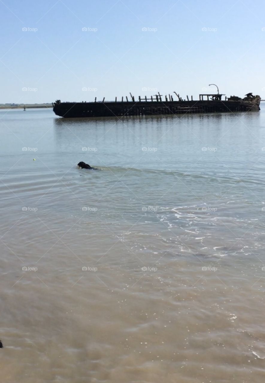 Shipwreck in Swale Kent. Beautiful day, blue sky and calm waters set the scene for the dark boat.