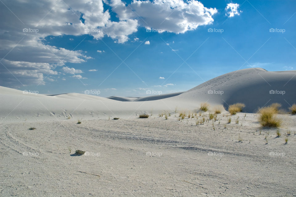 Desert, No Person, Landscape, Sand, Travel