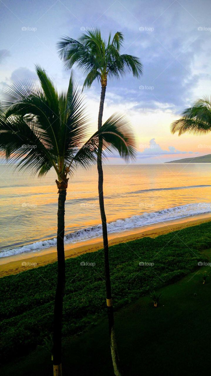 a sunset by the beach in the tropics