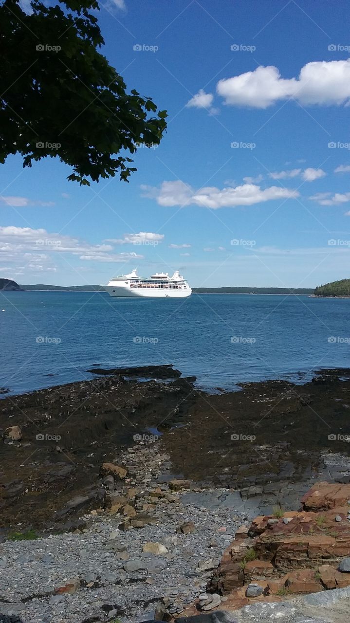 Bar Harbor