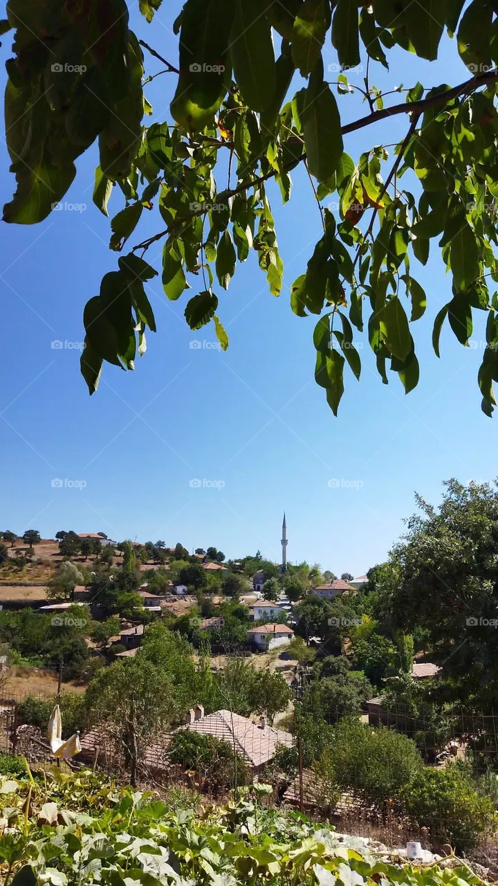 village with a view