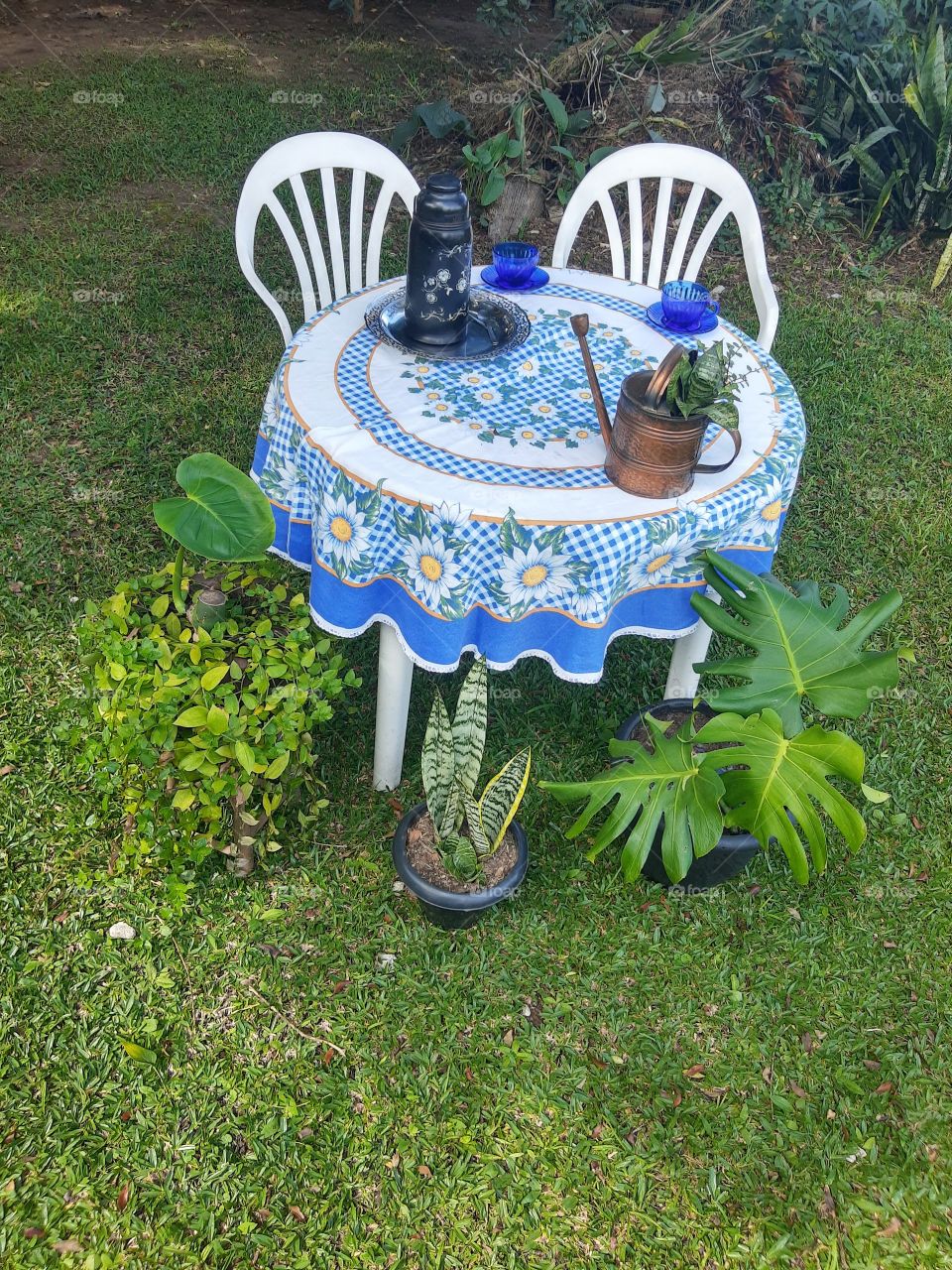 coffee with plants in afternoo