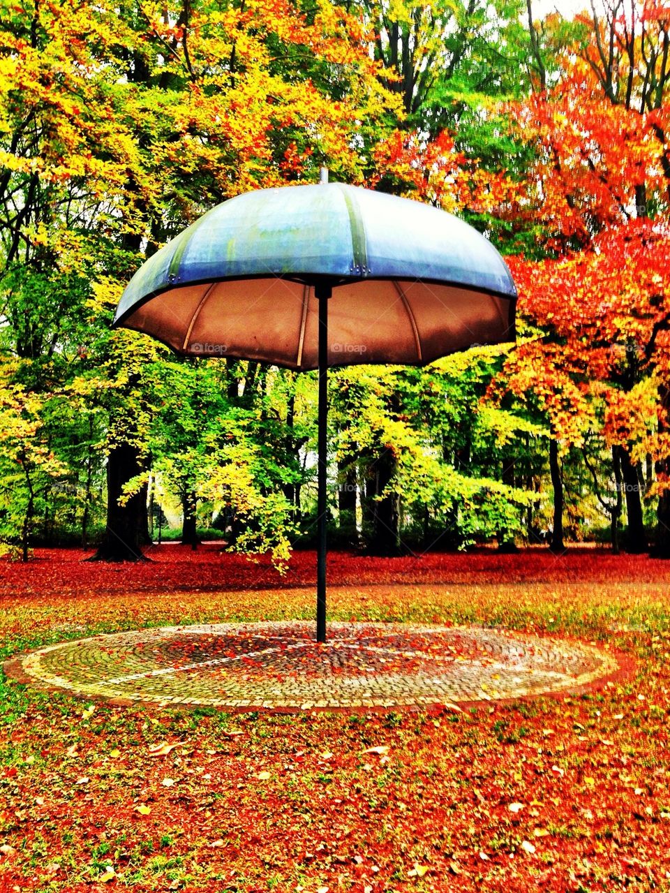 An Autumn umbrella