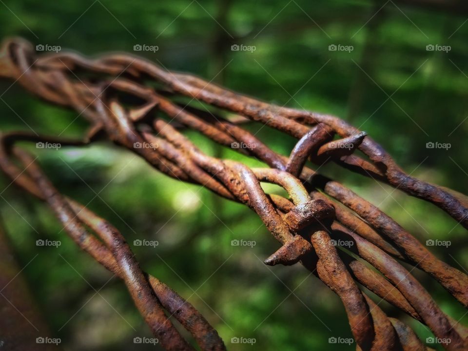 Barbed Wire