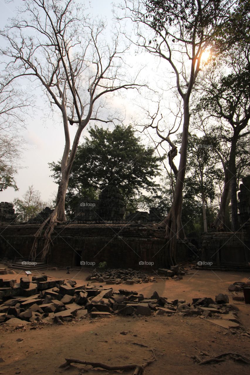 Ta Prohm