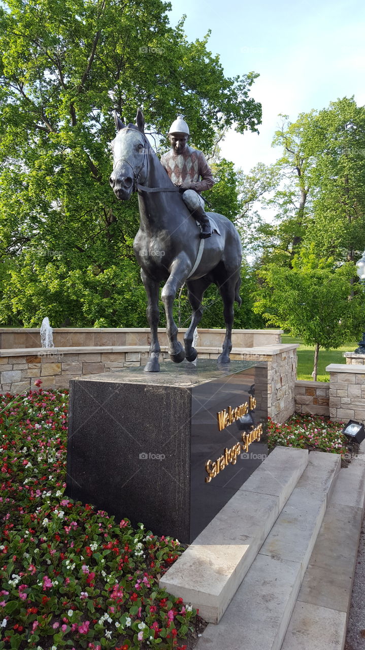 Outdoors, No Person, One, People, Cavalry