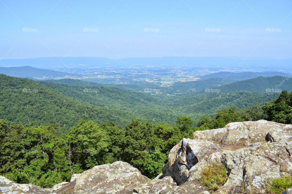 Cliff at Shenandoah