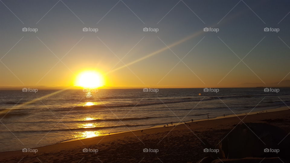 Golden Sun Sets over Ocean