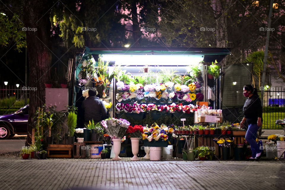 the flowers of my neighbor