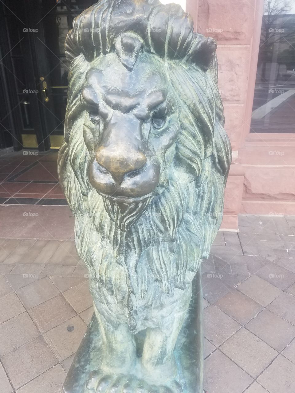A marble lion statue. It is forever guarding the building it is in front of. Maybe it comes to life?