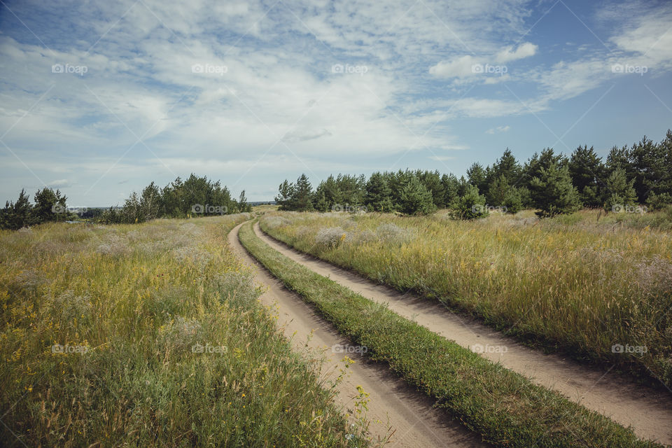 Car trip. Road through summer field