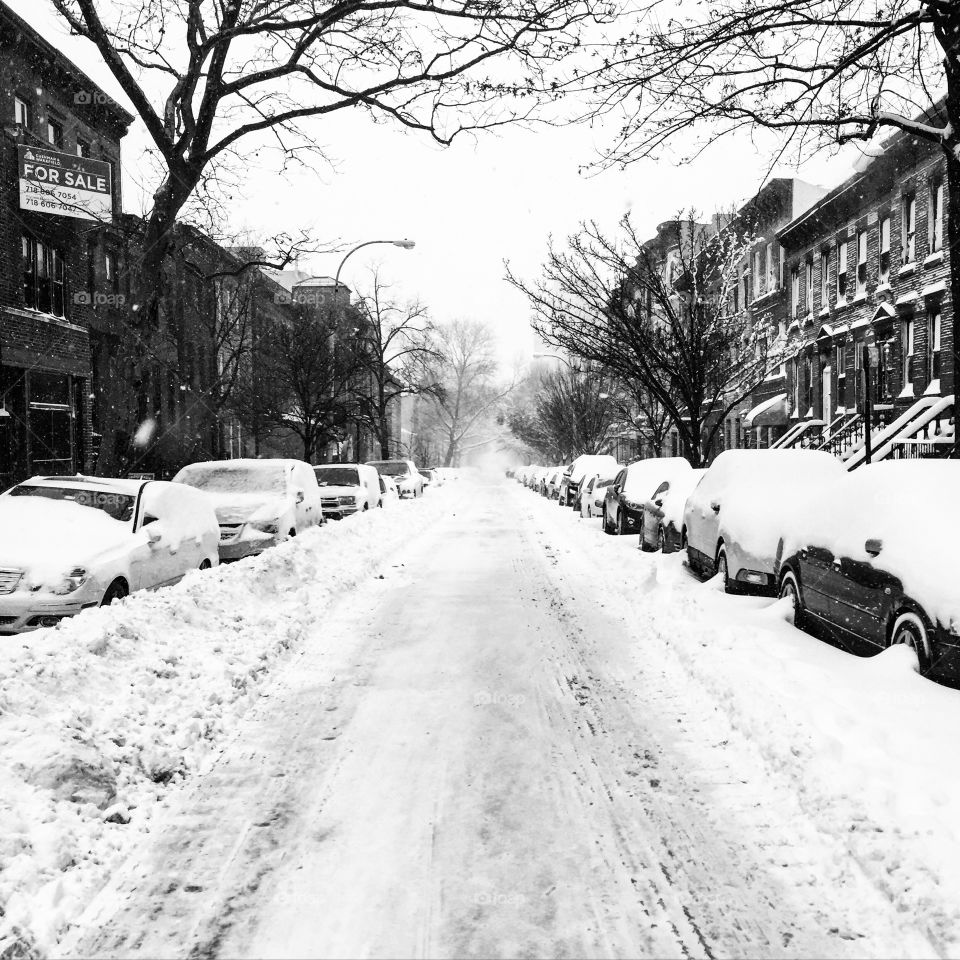 Winter, Street, Snow, Road, Weather