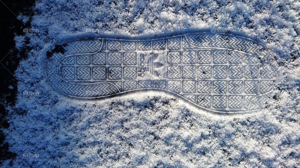 Adidas in the snow