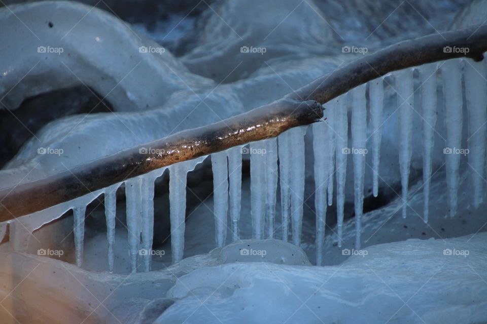 Icicles hang from branch near Lake Erie Ohio USA