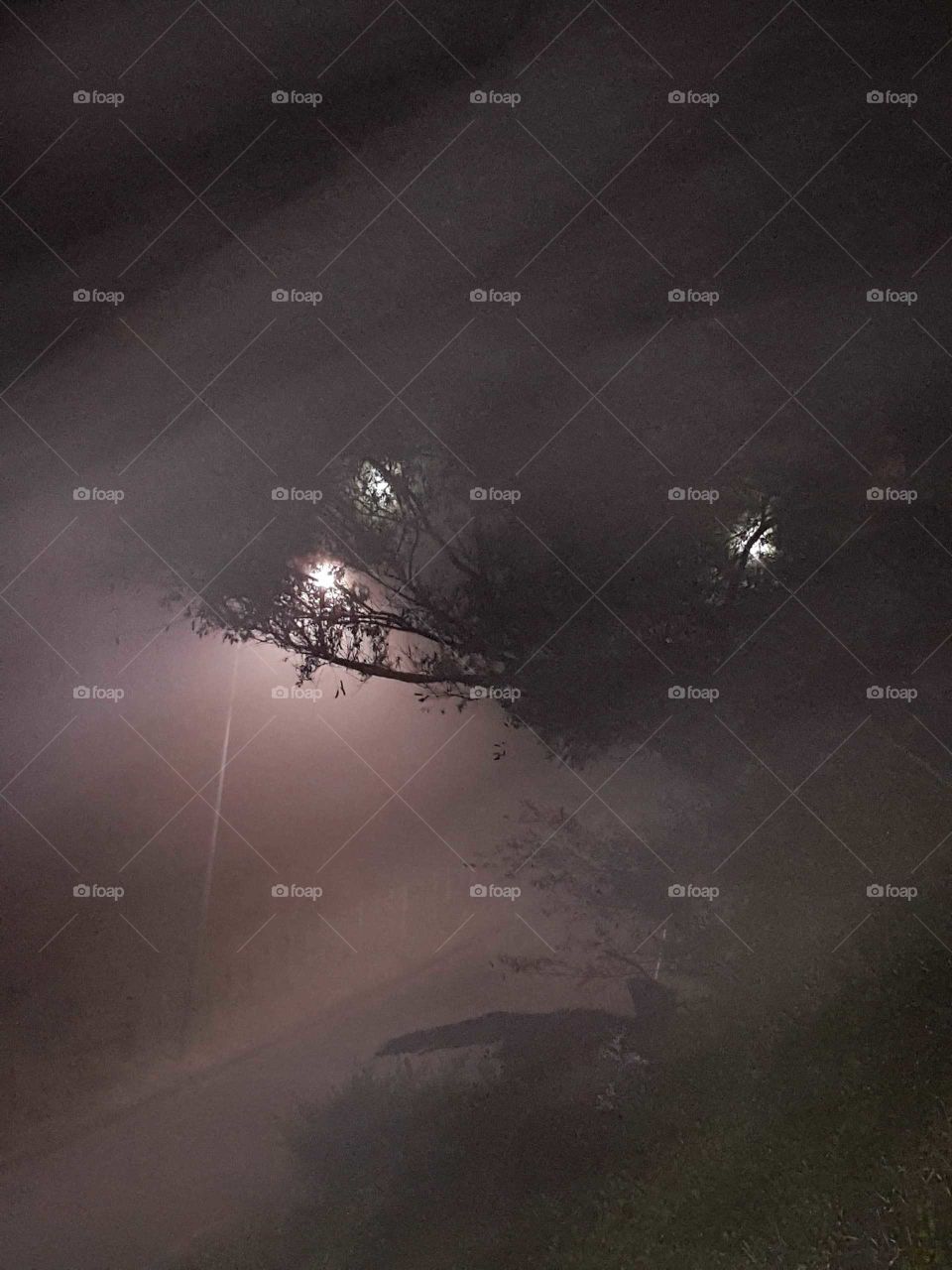 The street lights try to pearce through the fog. It's almost haunting it's a thick foggy night but no wolves howl.