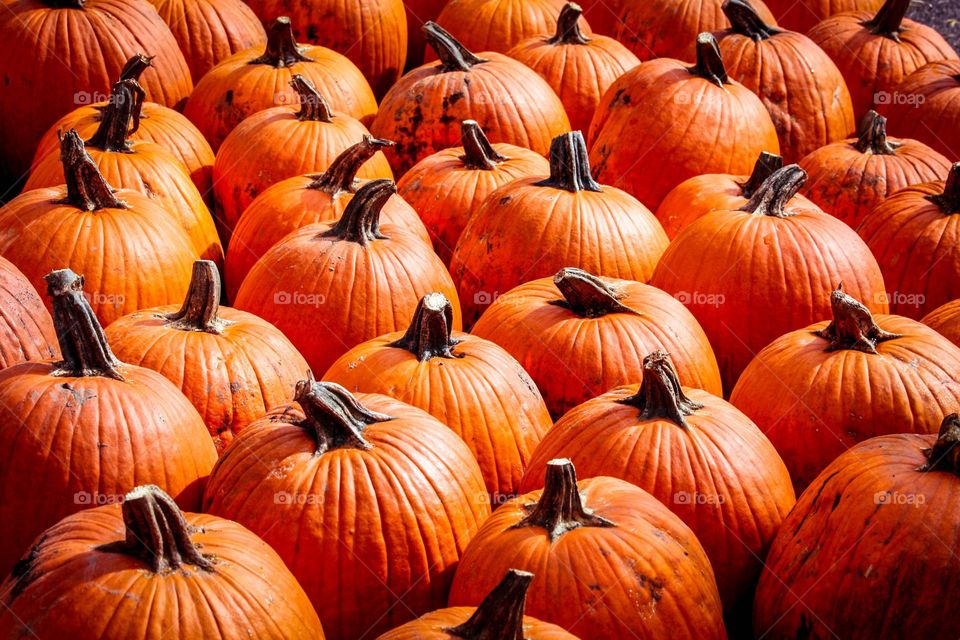 Pumpkins