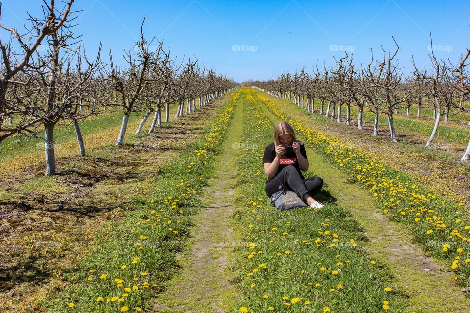 the girl sits in the garden in spring on the road with dandelions