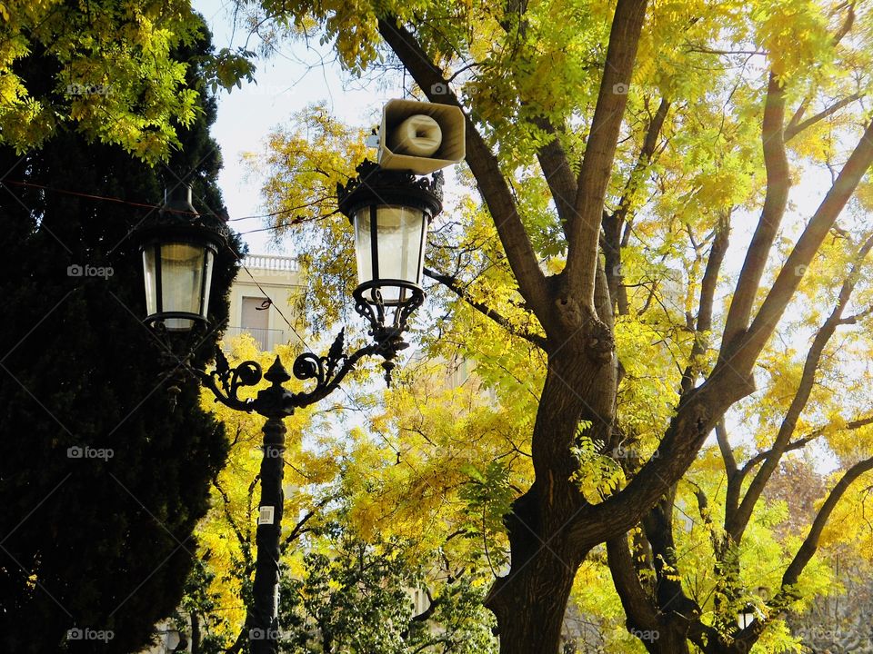 Yellow leafs in the trees and old style street lamp