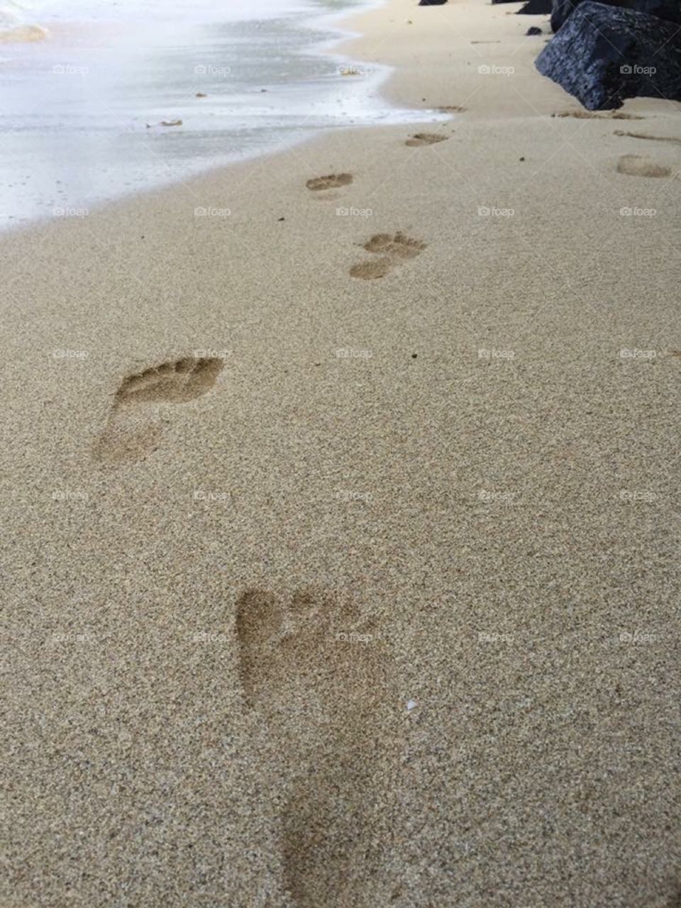 Footprints in the sand