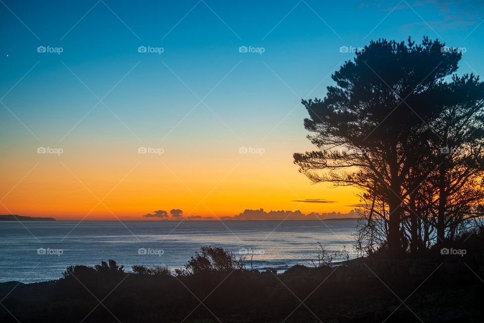 Intriguing Shoreline 