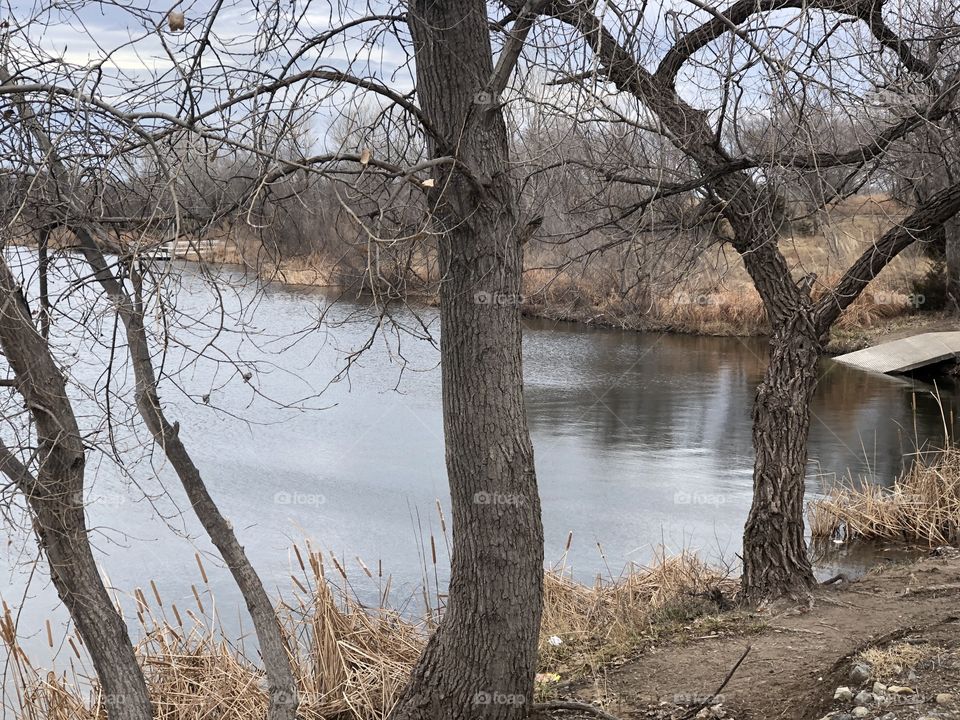 Cold winter day at the lake