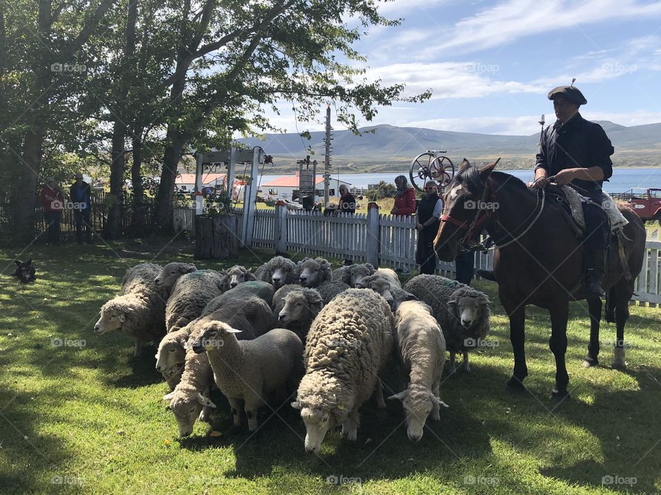 Country day in Patagonia