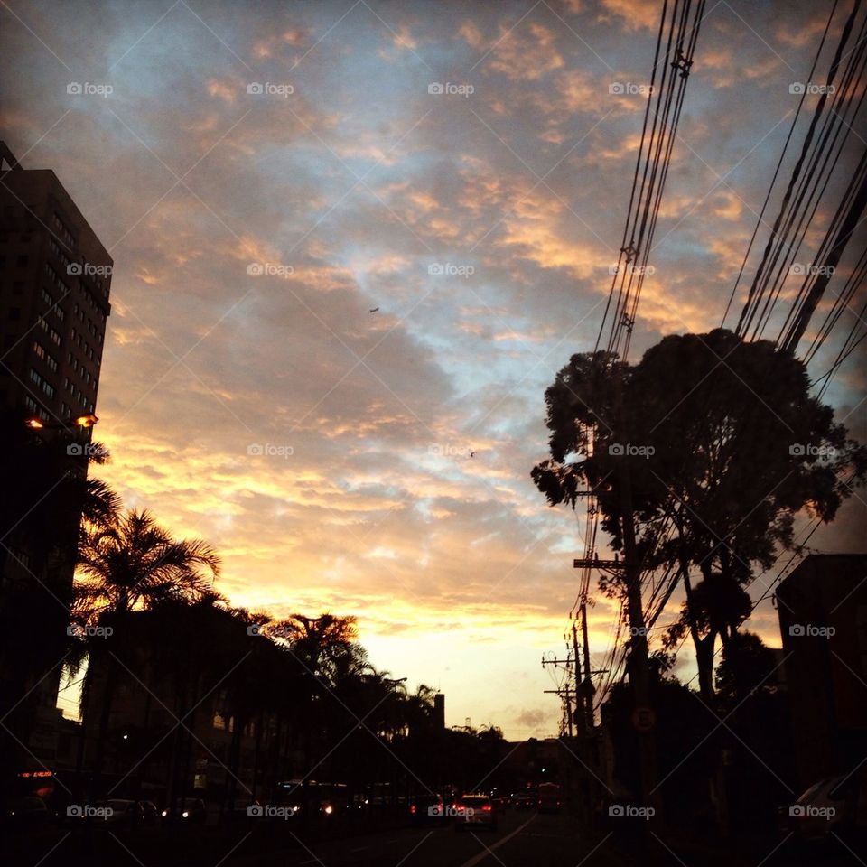 sky city blue tree by taisschoof