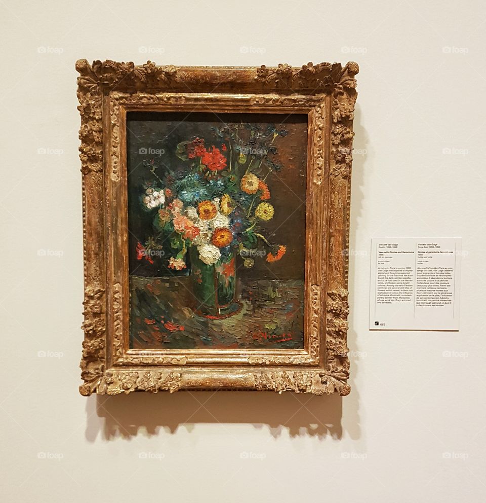 Van Gogh painting in art gallery Canada