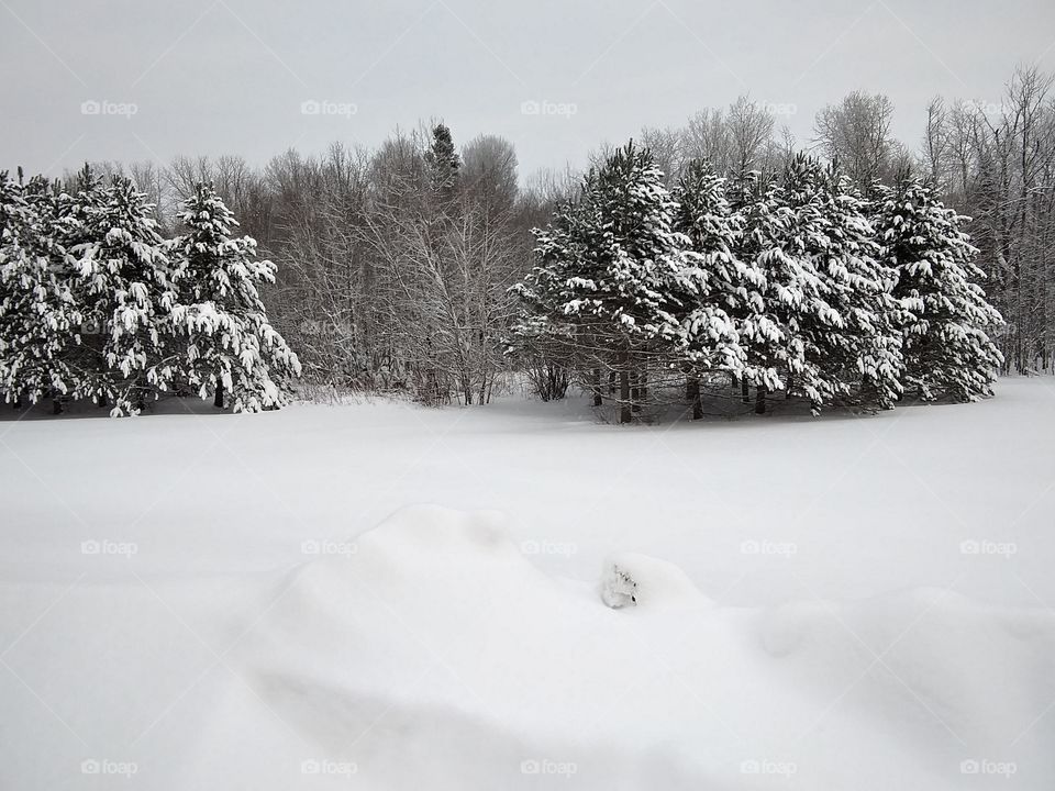 Northern Maine winter
