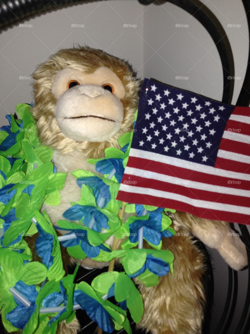 Patriotic monkey 
