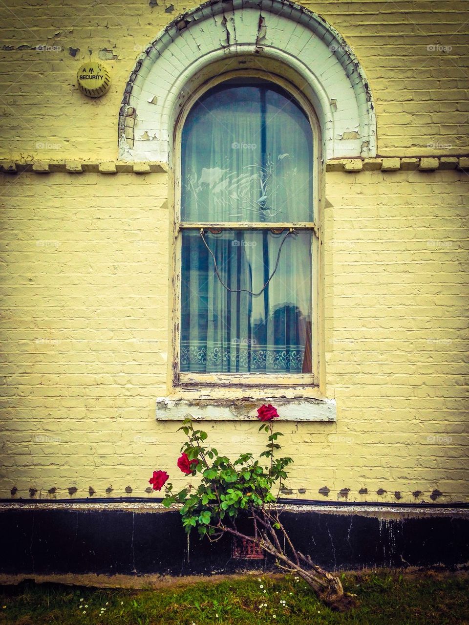 Window