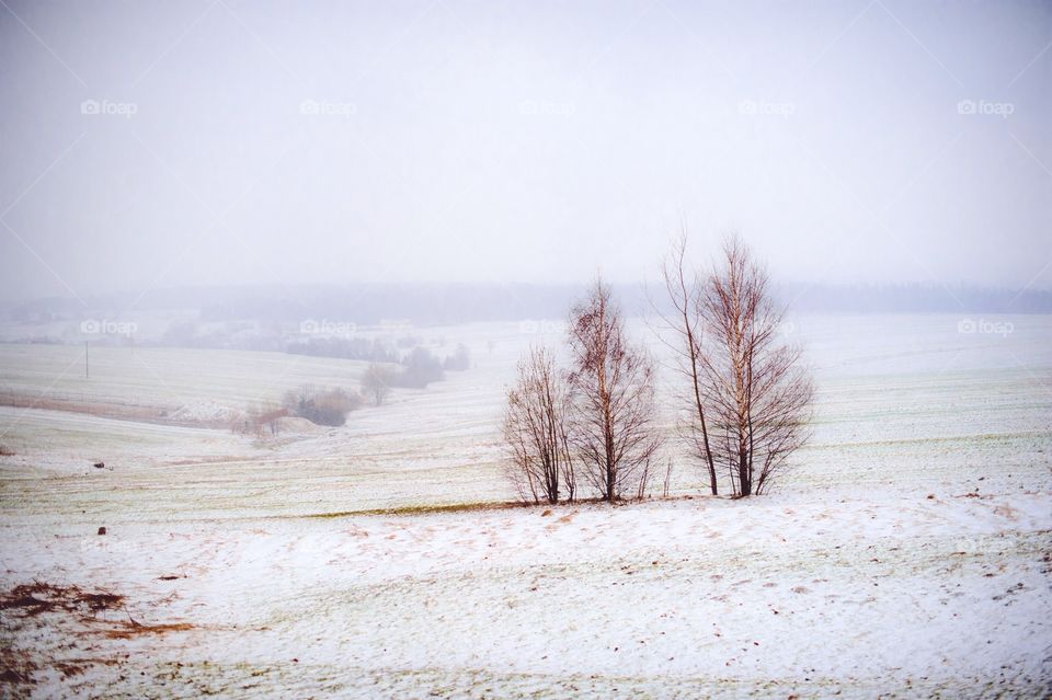 View in winter