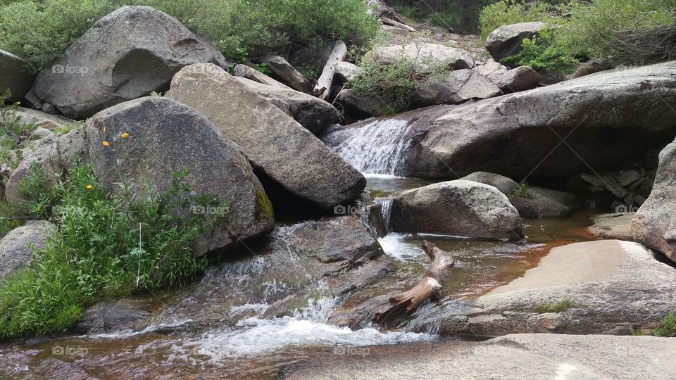 flowing brook