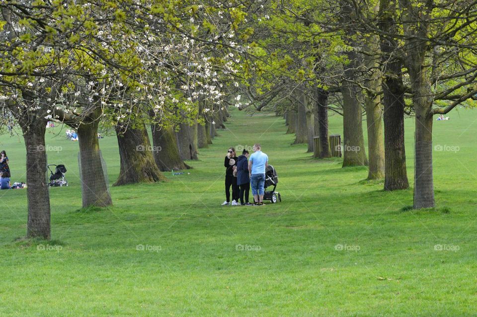 family walk