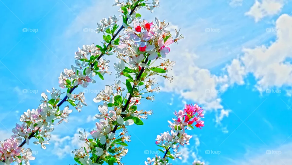 Today is a sunny day