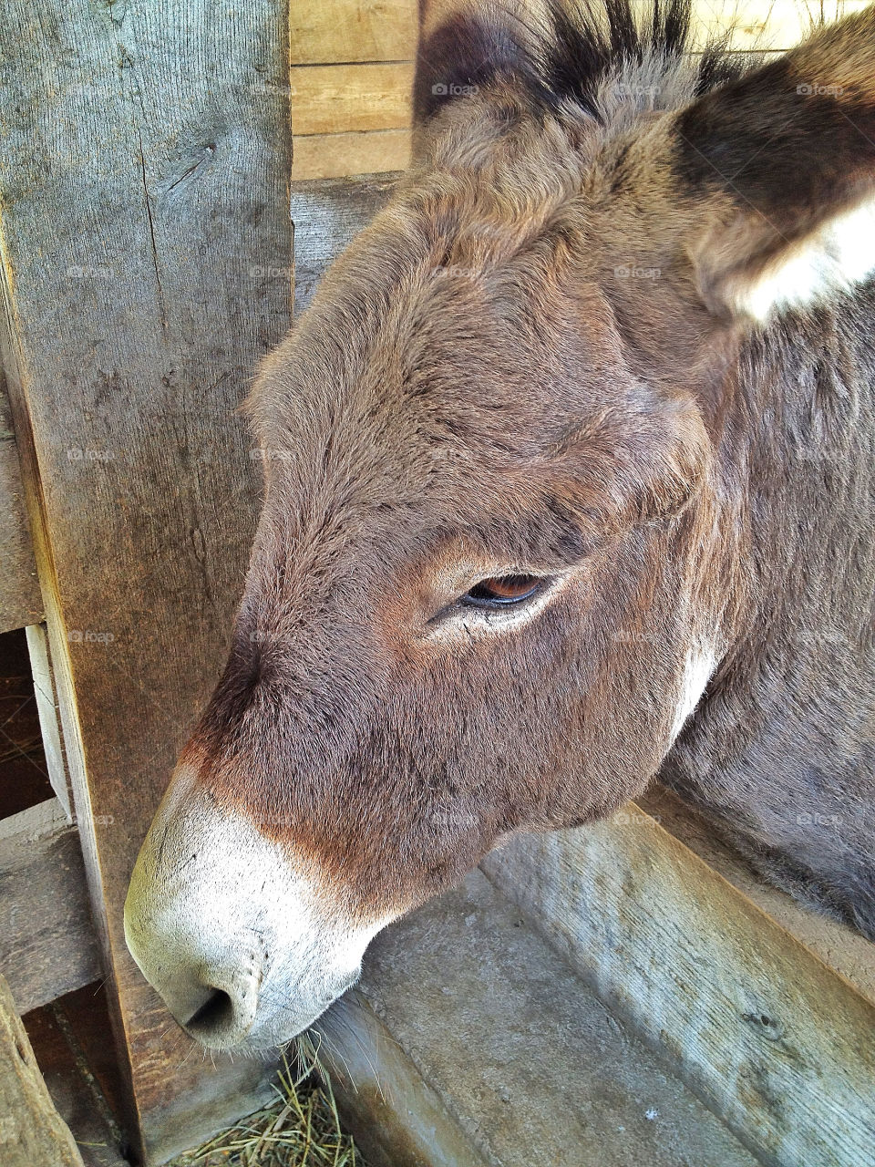 sky green field pretty by somebeach