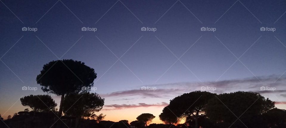 Atardecer Doñana