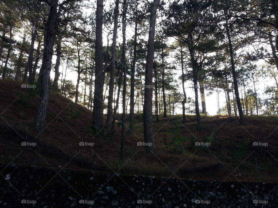 country sunrise. we went jogging to camp john hay