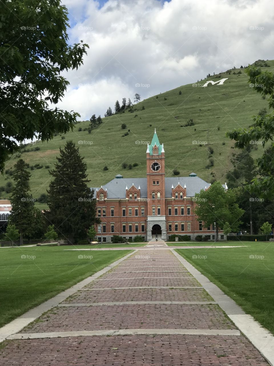 University of Montana 
